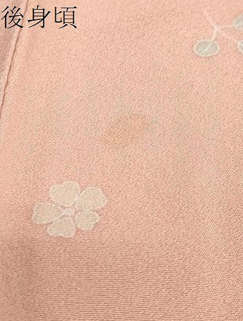 平和屋着物●訪問着　草花文　暈し染め　金彩　正絹　逸品　DAAV4880ud