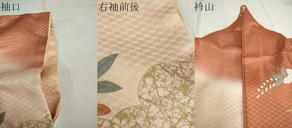 平和屋着物●訪問着 駒刺繍 風景草花文 暈し染め 金彩 正絹 逸品 DAAV4946ud