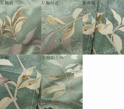 平和屋着物●訪問着　枝花文　金彩　仮絵羽　正絹　逸品　未使用　DAAV4970ud