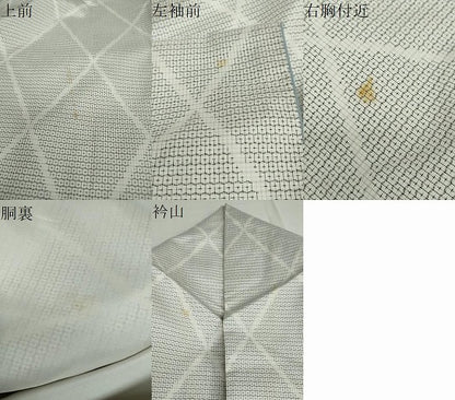 平和屋着物●本場大島紬　白大島　100亀甲　菱文　正絹　逸品　DAAV4998ud