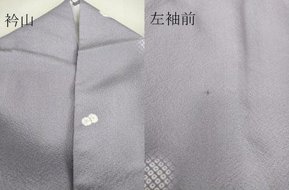 平和屋着物▽上質な小紋 単衣 霞丸文 蛍暈し 正絹 逸品 DAAV5200az