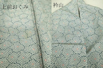 平和屋着物▽上質な小紋 単衣 菊尽くし 正絹 逸品 DAAV5394az