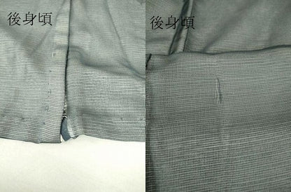 平和屋着物▽訪問着 無双 紗袷 紗×絽 南天枝葉文 正絹 逸品 DAAV5435az