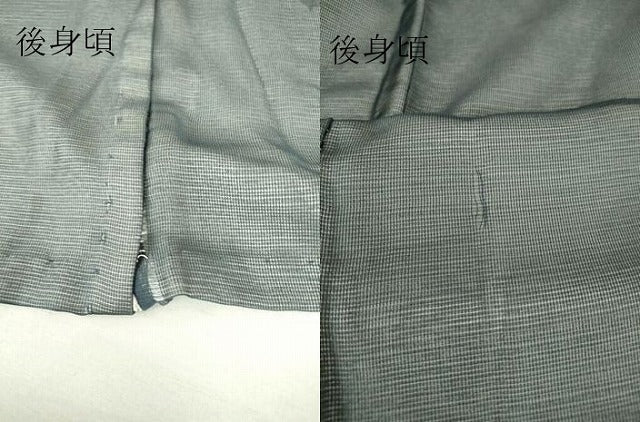 平和屋着物▽訪問着 無双 紗袷 紗×絽 南天枝葉文 正絹 逸品 DAAV5435az