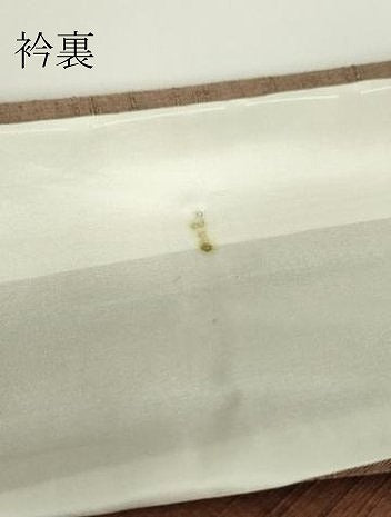 平和屋着物▽上質な紬 単衣 色無地 霞文 正絹 逸品 DAAV5847az