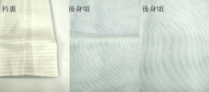 平和屋着物▽訪問着 無双 紗袷 紗×紗 枝葉文 正絹 逸品 DAAV5964az