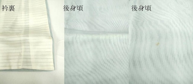平和屋着物▽訪問着 無双 紗袷 紗×紗 枝葉文 正絹 逸品 DAAV5964az