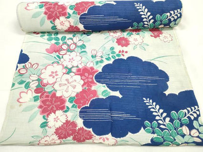 平和屋着物＊夏物 アンティーク 大正ロマン 小紋 反物 着尺 絽 草花雲文 未使用 DAAV8286zzz