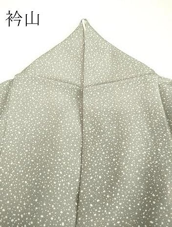平和屋着物●訪問着　色紙花唐草文　ますいわ屋扱い　正絹　逸品　DAAV8750tw