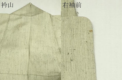 平和屋着物▽上質な紬 単衣 霞文 正絹 逸品 DAAV9659sf