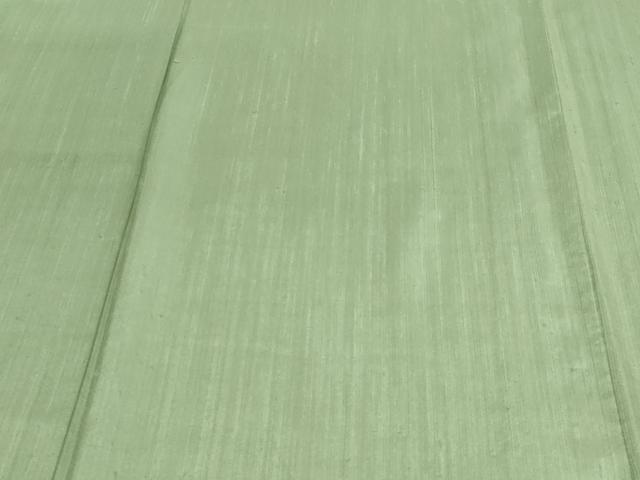 平和屋着物▽上質な紬 単衣 山葵色 正絹 逸品 DAAV9966sf