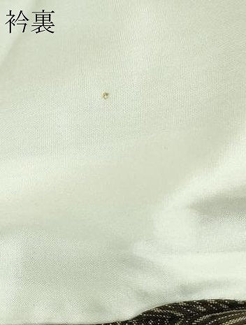 平和屋着物▽上質な紬 単衣 片身替わり 間道 正絹 逸品 DAAV9995sf