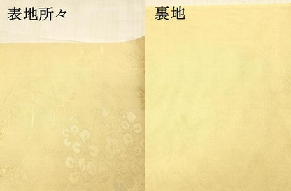 平和屋着物＊夏物 六通柄袋帯 草花文 桔梗 萩 金銀糸 正絹 逸品 DAAW1933cm