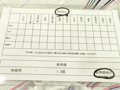 平和屋着物◎六通柄袋帯　唐織　飛鳥文　銀糸　正絹　逸品　DAAW3539fe