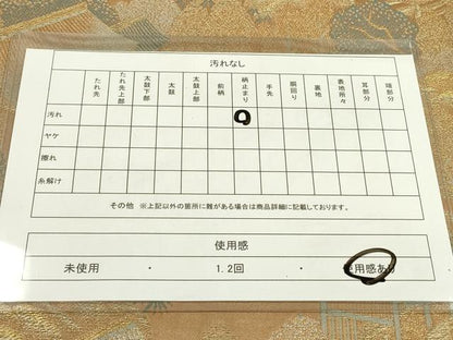 平和屋着物◎六通柄袋帯　風景文　金銀糸　正絹　逸品　DAAW3662fe