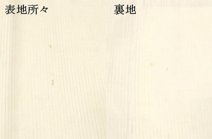 平和屋着物＊夏物　六通柄袋帯　草葉文　金銀糸　DAAW4148cm