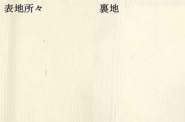 平和屋着物＊夏物　六通柄袋帯　草葉文　金銀糸　DAAW4148cm
