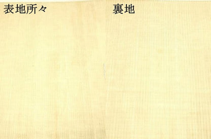 平和屋着物＊夏物 アンティーク 大正ロマン 丸帯 花鳥文 正絹 逸品 DAAW4505cm