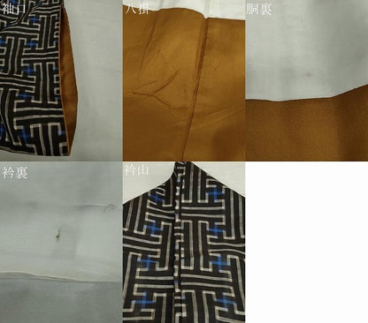 平和屋着物●本場大島紬　龍郷絣　秋名バラ　正絹　逸品　DAAW5137ud