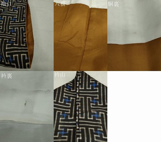 平和屋着物●本場大島紬　龍郷絣　秋名バラ　正絹　逸品　DAAW5137ud