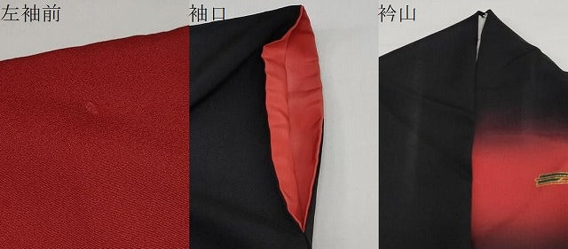 平和屋着物○TOKI志すい キモノモードオリジナルブランド 訪問着 扇面