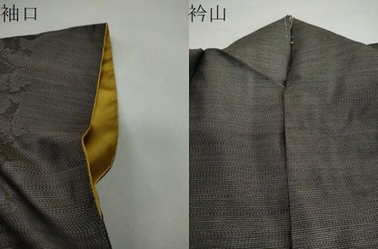 平和屋着物●本場大島紬 舞蝶文 正絹 逸品 DAAW5800ud