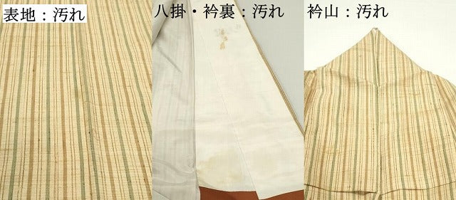 平和屋着物■上質な紬　間道　正絹　逸品　DAAW6892ob
