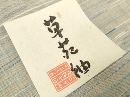 平和屋着物＊夏物 小紋 草苑紬 反物 着尺 横縞 未使用 DAAW7449zzz