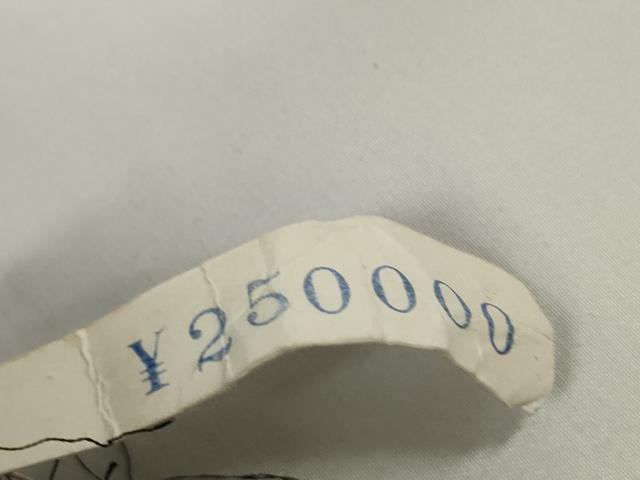 平和屋着物＊夏物　本場大島紬　夏大島　反物　着尺　100亀甲　総詰め　上代25万　藤原頼若　証紙付き　逸品　未使用　DAAW7835zzz
