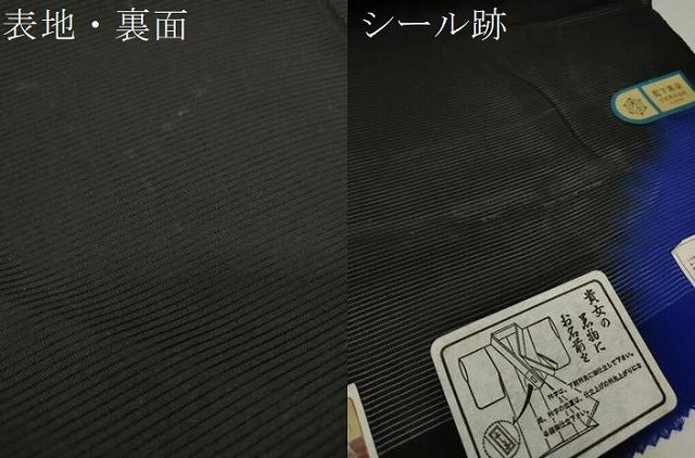 平和屋着物＊夏物 黒紋付 黒反物 着尺 絽 作家物 藍下黒染 逸品 未使用 DAAW7967zzz