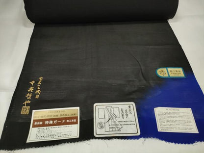 平和屋着物＊夏物 黒紋付 黒反物 着尺 絽 作家物 藍下黒染 逸品 未使用 DAAW7967zzz