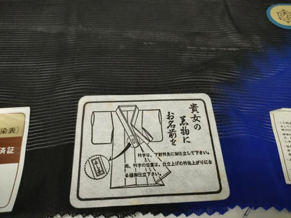 平和屋着物＊夏物 黒紋付 黒反物 着尺 絽 作家物 藍下黒染 逸品 未使用 DAAW7967zzz