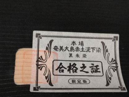 平和屋着物＊夏物 黒紋付 黒反物 着尺 絽 五泉 黒朱染 逸品 未使用 DAAW8001zzz