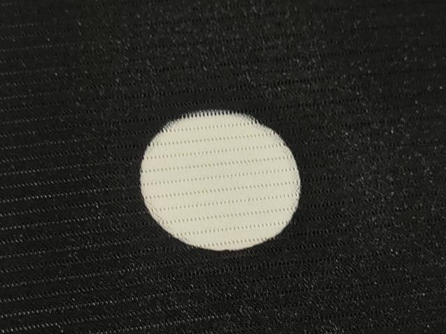 平和屋着物＊夏物 黒紋付 黒反物 着尺 五泉 檳榔子 皇室献上絹 逸品 未使用 DAAW8151zzz