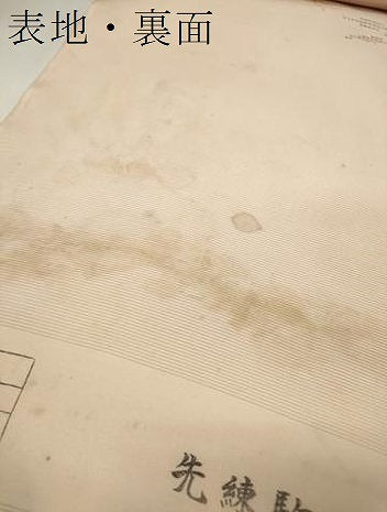 平和屋着物＊夏物 付下げ 反物 着尺 駒絽 草花文 ドロンワーク 伊と幸 逸品 未使用 DAAW8186zzz