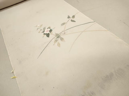 平和屋着物＊夏物 付下げ 反物 着尺 駒絽 五泉 友禅 枝花文 逸品 未使用 DAAW8187zzz