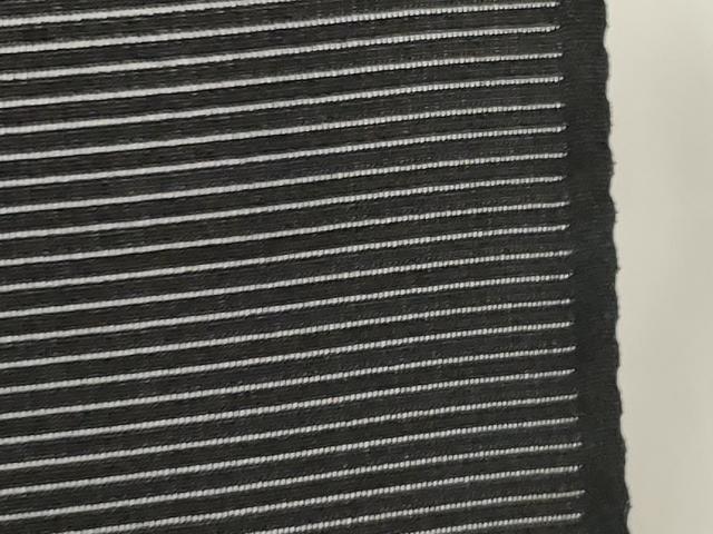 平和屋着物＊夏物　黒紋付　黒反物　着尺　絽　憲法染　檳榔子　神路黒　逸品　未使用　DAAW8268zzz