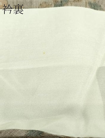平和屋着物▽上質な紬 単衣 枝花文 正絹 逸品 DAAW9191sf