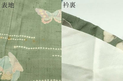 平和屋着物▽訪問着 単衣 生紬 花鳥文 暈し染め 正絹 逸品 DAAW9232sf