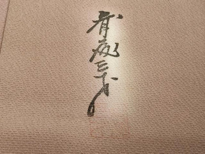 平和屋着物▽染色作家 斉藤三才 小紋 単衣 霞文 暈し染め 正絹 逸品 DAAW9279sf