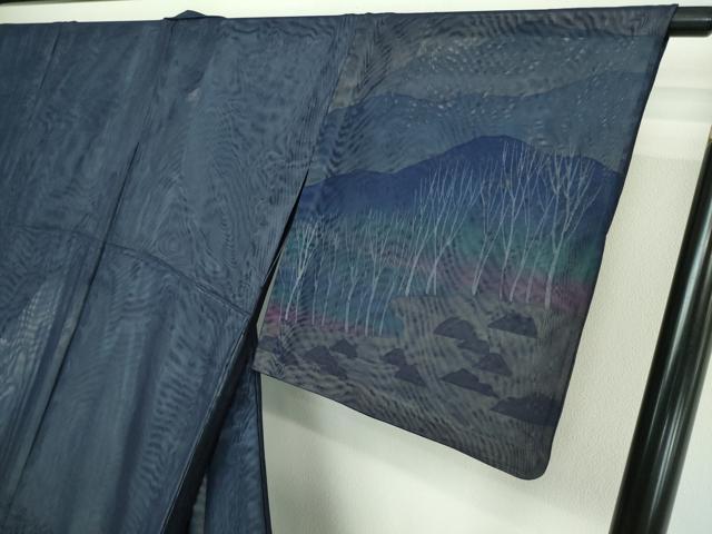 平和屋着物▽訪問着 無双 紗袷 紗×紗 風景文 暈し染め 正絹 逸品 DAAW9399sf