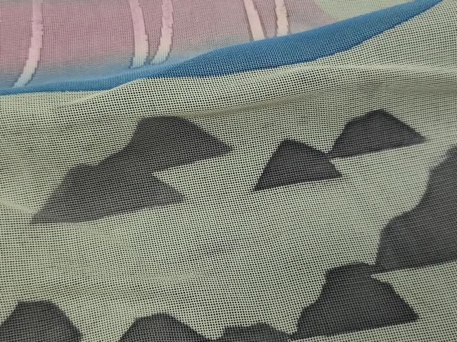 平和屋着物▽訪問着 無双 紗袷 紗×紗 風景文 暈し染め 正絹 逸品 DAAW9399sf