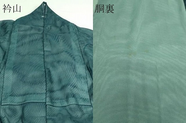 平和屋着物▽訪問着 無双 紗袷 紗×紗 流水草花文 とんぼ 金彩 正絹 逸品 DAAW9417sf