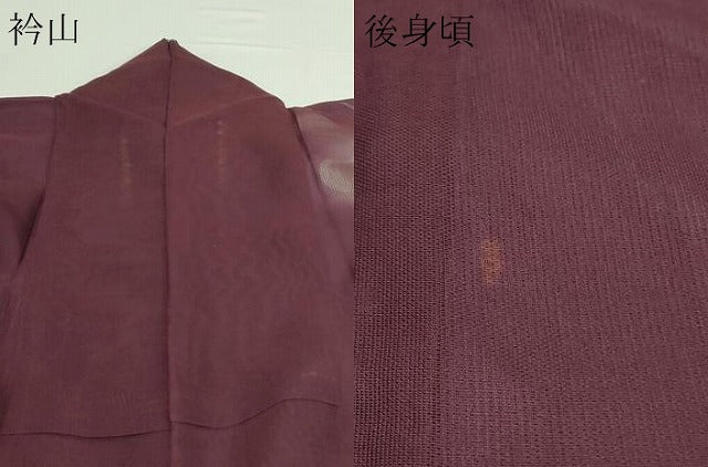 平和屋着物▽訪問着 無双 紗袷 紗×縦絽 流水枝葉文 暈し染め 正絹 逸品 DAAW9419sf