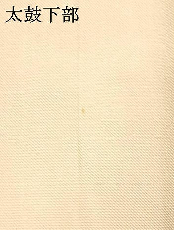 平和屋着物●八寸名古屋帯 虹色 正絹 逸品 DAAX0342cm