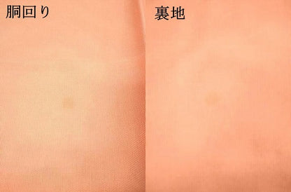 平和屋着物＊夏物 太鼓柄 本袋帯 草花文 銀糸 正絹 逸品 DAAX0469cm