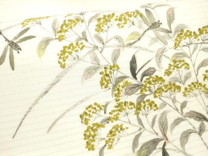 平和屋着物＊夏物 九寸名古屋帯 手描き 蜻蛉草花文 DAAX0484cm