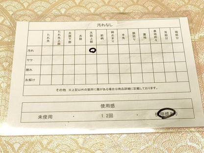 平和屋着物◎佐賀錦　両面　全通柄袋帯　青海波　金銀糸　正絹　逸品　DAAX0716jm