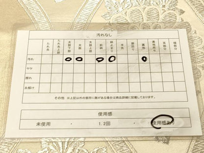平和屋着物◎西陣　六通柄袋帯　立涌花文　銀糸　正絹　逸品　DAAX0805jm