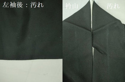 平和屋着物■豪華黒留袖　駒刺繍　鳳凰花文　金彩　正絹　逸品　DAAX1200op